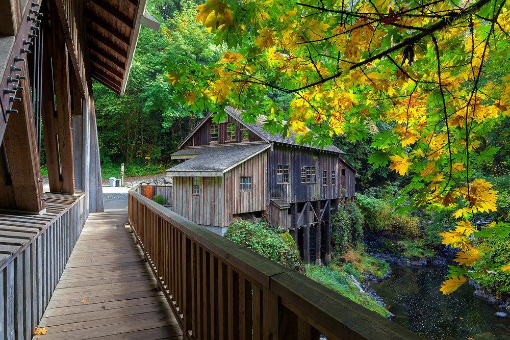 Mill Creek