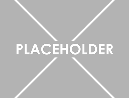 Placeholder-1 500x500