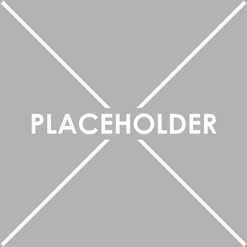 Placeholder-1 500x500